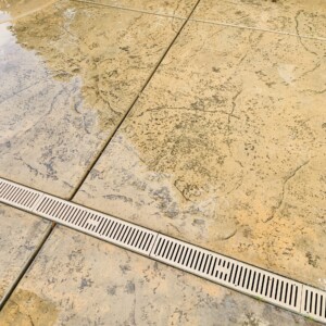 60990335772 41cf4627 6f2a 465d B47f 6be75d3319a0