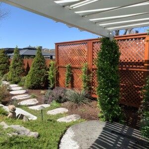 Decks And Fences (3)