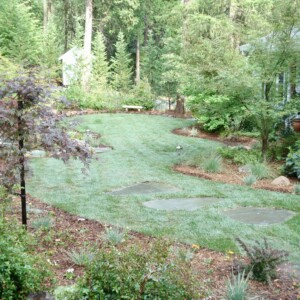 Landscape Design And Build (4)