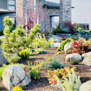 Ornamental Planting And Xeriscape (1)
