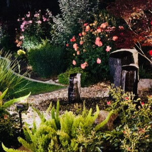 Ornamental Planting And Xeriscape (11)