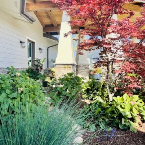 Ornamental Planting And Xeriscape (13)