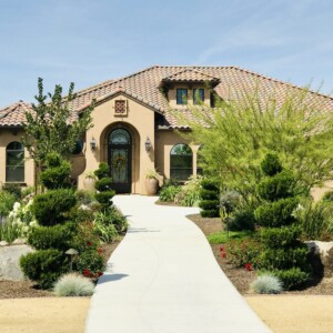 Ornamental Planting And Xeriscape (15)