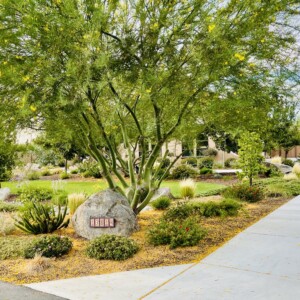 Ornamental Planting And Xeriscape (16)
