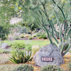 Ornamental Planting And Xeriscape (17)