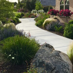 Ornamental Planting And Xeriscape (21)