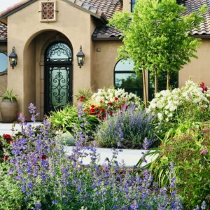 Ornamental Planting And Xeriscape (23)