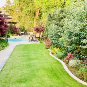 Ornamental Planting And Xeriscape (24)