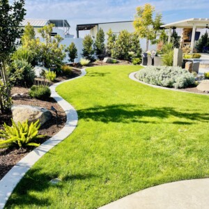 Ornamental Planting And Xeriscape (26)