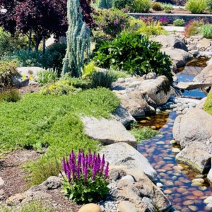 Ornamental Planting And Xeriscape (28)