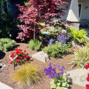 Ornamental Planting And Xeriscape (30)