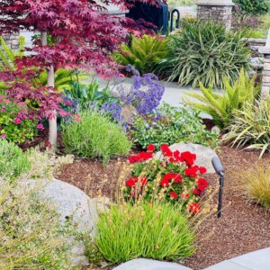 Ornamental Planting And Xeriscape (32)