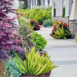 Ornamental Planting And Xeriscape (34)