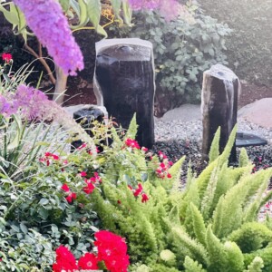 Ornamental Planting And Xeriscape (35)