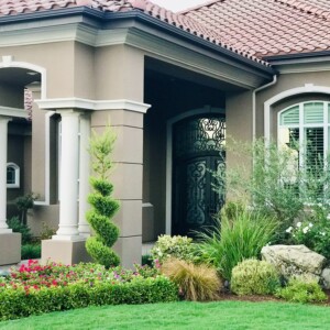 Ornamental Planting And Xeriscape (40)