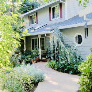 Ornamental Planting And Xeriscape (47)