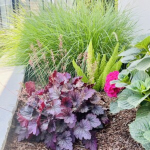 Ornamental Planting And Xeriscape (8)