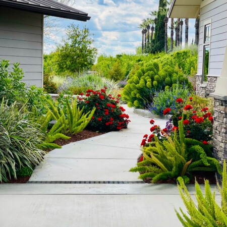 Ornamental Planting and Xeriscape