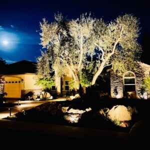 Outdoor Lighting And Outdoor Audio (13)