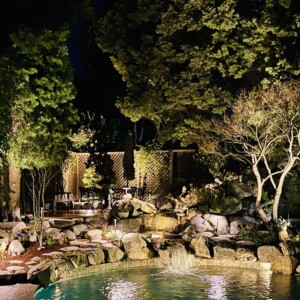 Outdoor Lighting And Outdoor Audio (15)