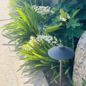 Outdoor Lighting And Outdoor Audio (16)