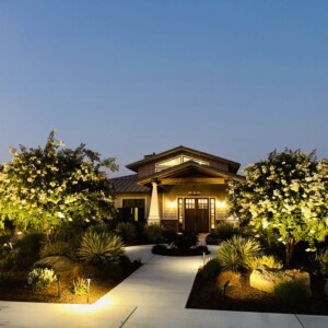 Outdoor Lighting And Outdoor Audio (3)