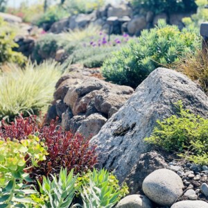 Retaining Walls, Stonework, And Masonry (16)