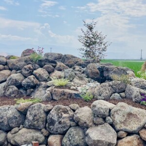 Retaining Walls, Stonework, And Masonry (5)