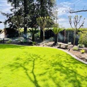 Turf And Synthetic Grass (1)