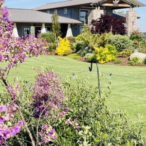 Turf And Synthetic Grass (10)
