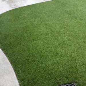 Turf And Synthetic Grass (11)