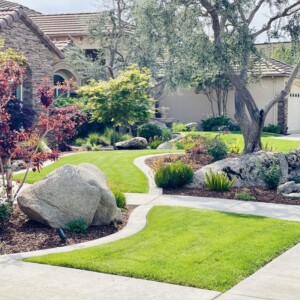 Turf And Synthetic Grass (12)