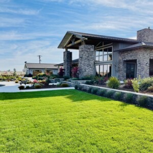 Turf And Synthetic Grass (4)