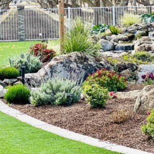 Turf And Synthetic Grass (5)