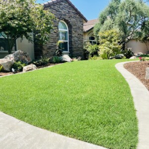 Turf And Synthetic Grass (6)