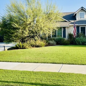Turf And Synthetic Grass (8)