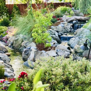Water Features (13)