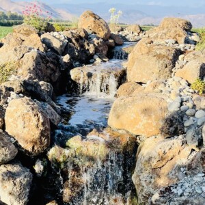 Water Features (14)
