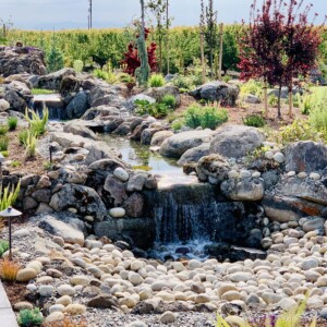 Water Features (16)