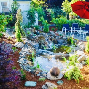 Water Features (2)