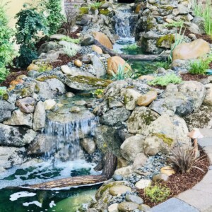 Water Features (20)
