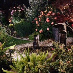 Water Features (21)