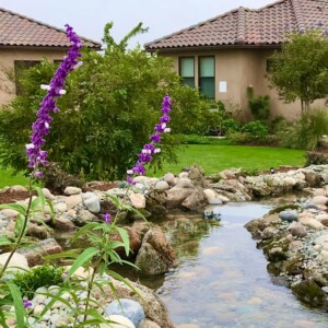 Water Features (23)