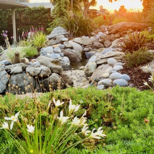 Water Features (24)