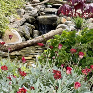 Water Features (29)