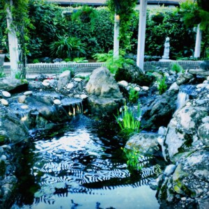 Water Features (3)