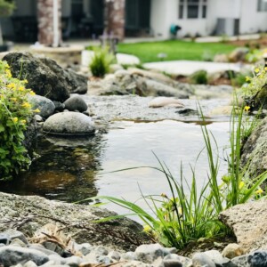 Water Features (30)