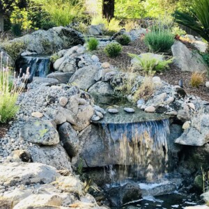 Water Features (31)