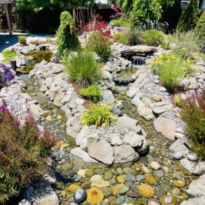 Water Features (33)