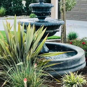 Water Features (37)